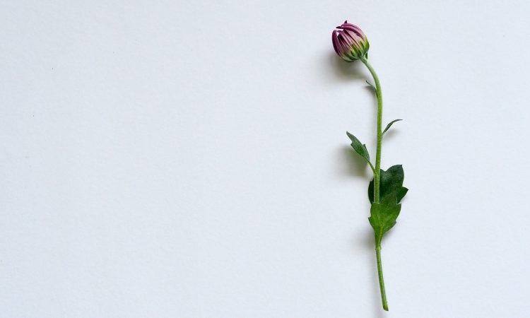 10 Bible Verses To Encourage Single Women