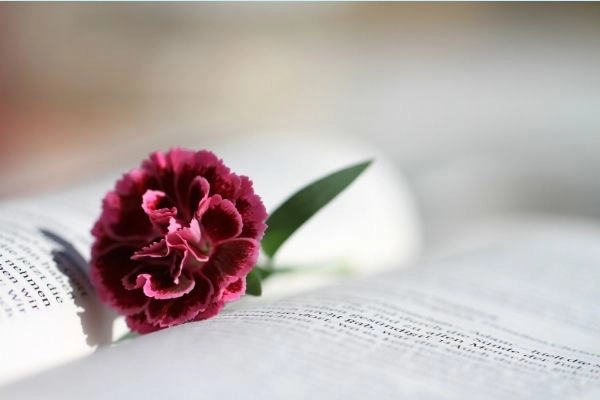 can you make money with a christian blog