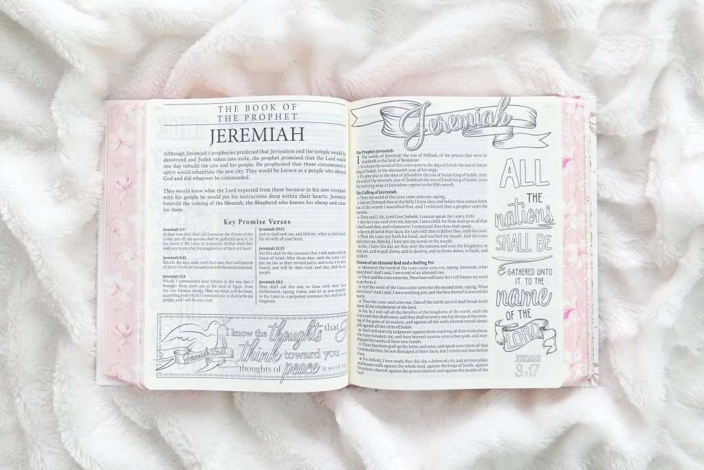 KJV Journaling Bible