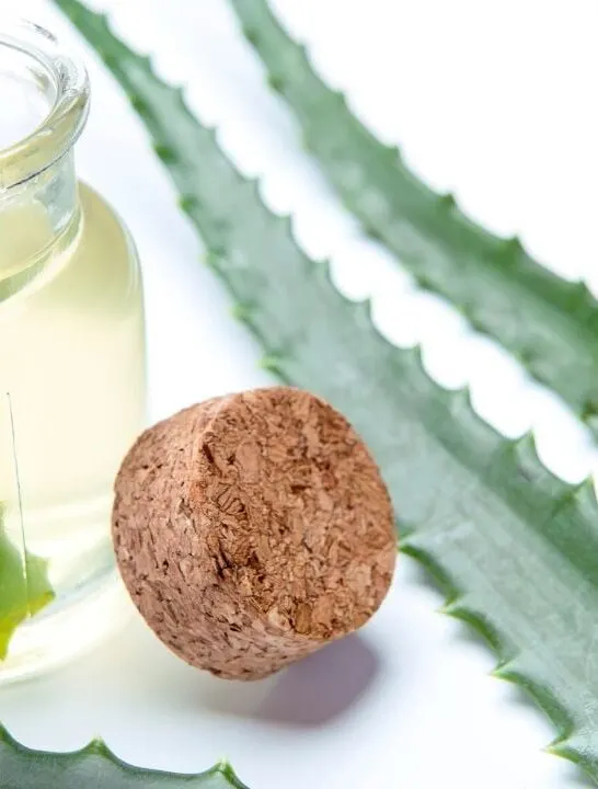 how to make aloe vera oil for hair growth